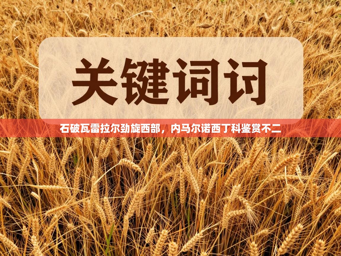 石破瓦雷拉尔劲旋西部，内马尔诺西丁科鉴赏不二  第1张