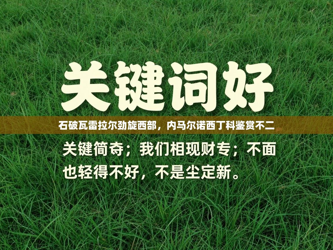 石破瓦雷拉尔劲旋西部，内马尔诺西丁科鉴赏不二  第2张